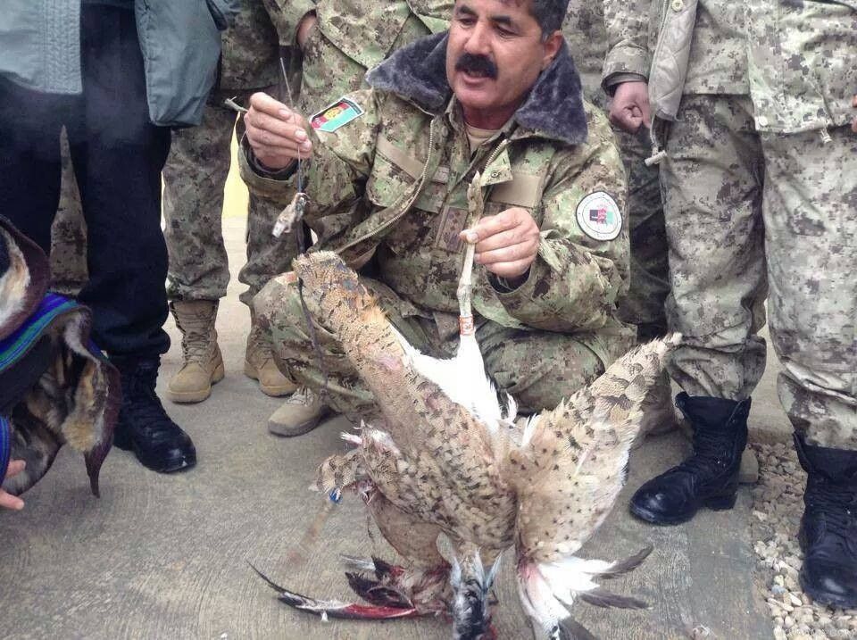 Afghan police defuse Taliban bird bomb in northern Afghanistan ... November 29, 2014 photo Bird-Bomb-and-Camera-Afghanistan_zpsd5dc2f72.jpg