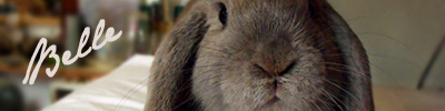 merrythought binkybunny
