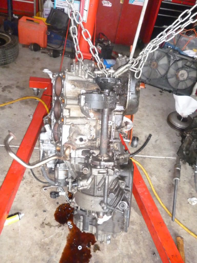 Bringing a Lexus ES300 back to life - Engine Replacement - ClubLexus