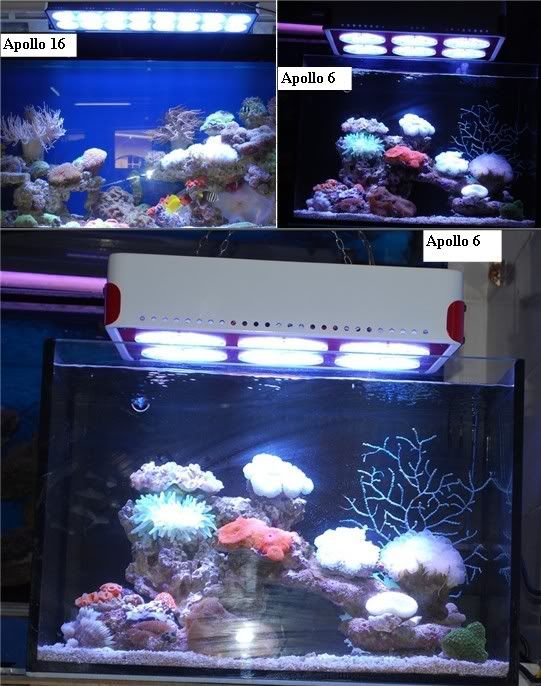 All led aquarium lighting lamp picture Pictures, Images and Photos