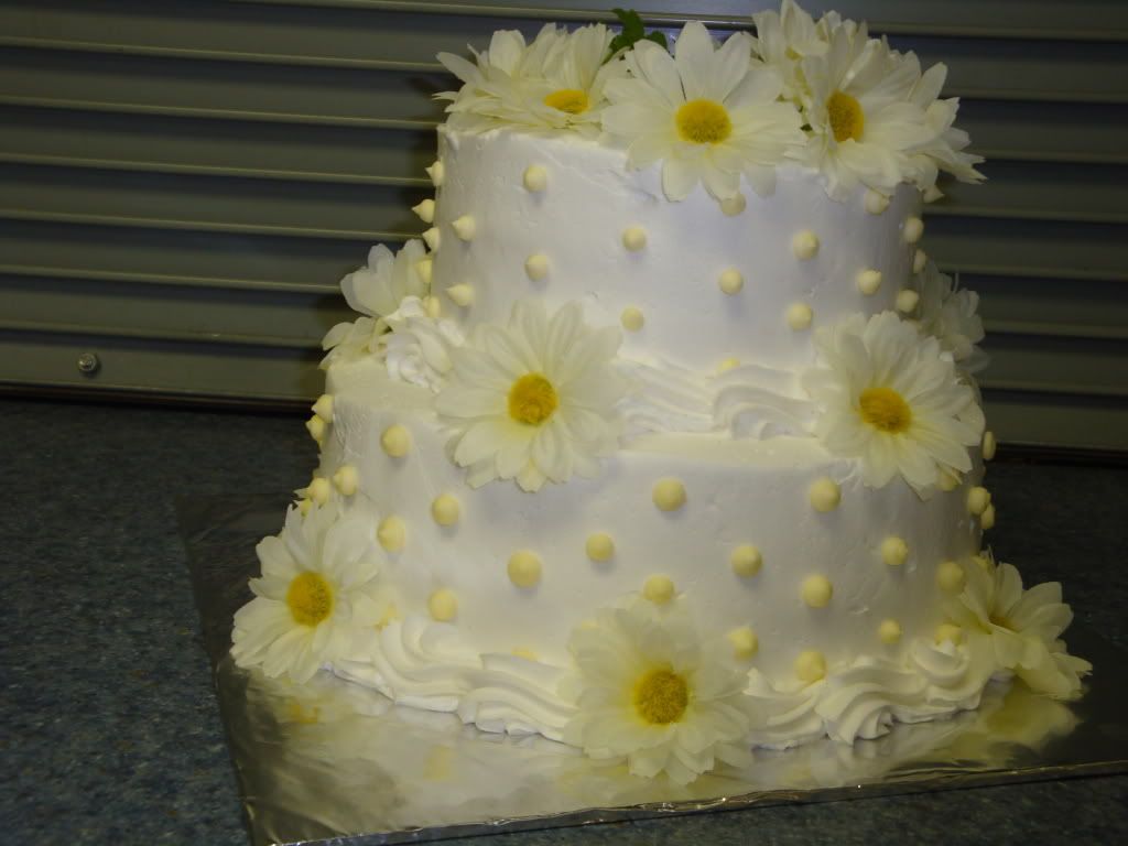 Pasta Resimleri (1. Katalog)