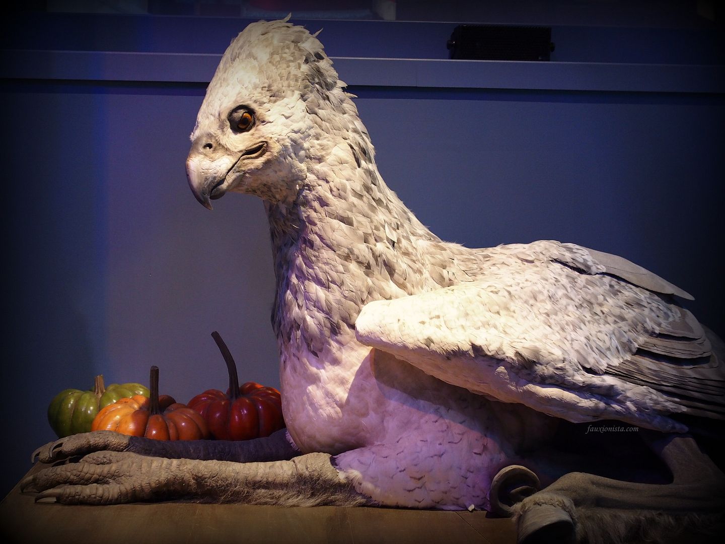 Buckbeak, Harry Potter World Studio Tour, England, Watford