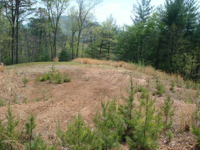 Imagine waking up to lovely mountain views from your private acreage in Otto NC, Otto NC Land for Sale, Blue Ridge Mountain Property
