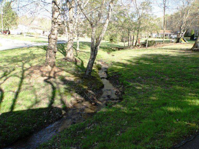 home with creek- for sale in Macon County