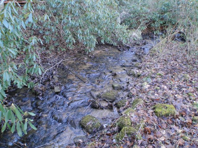 A nice stream runs through the property, Homes under 100K in Franklin NC, John Becker Realtor Franklin NC