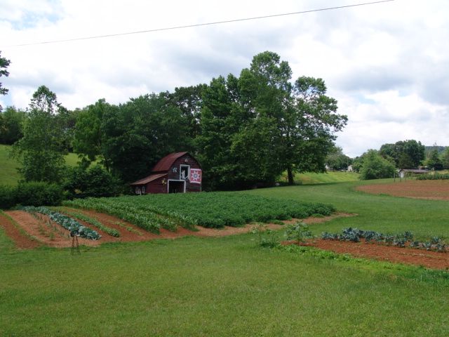 Summer Garden in Franklin NC, The Four Seasons of Franklin, Life in Franklin NC