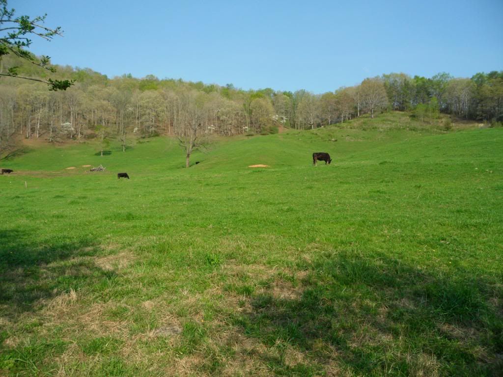 Land for Sale in Franklin NC, Franklin NC Land Listings