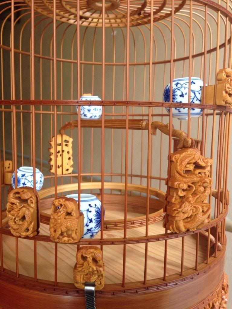 Cần bán 01 em Chào mào Nha Trang 3 mùa - Giá rẻ - 12