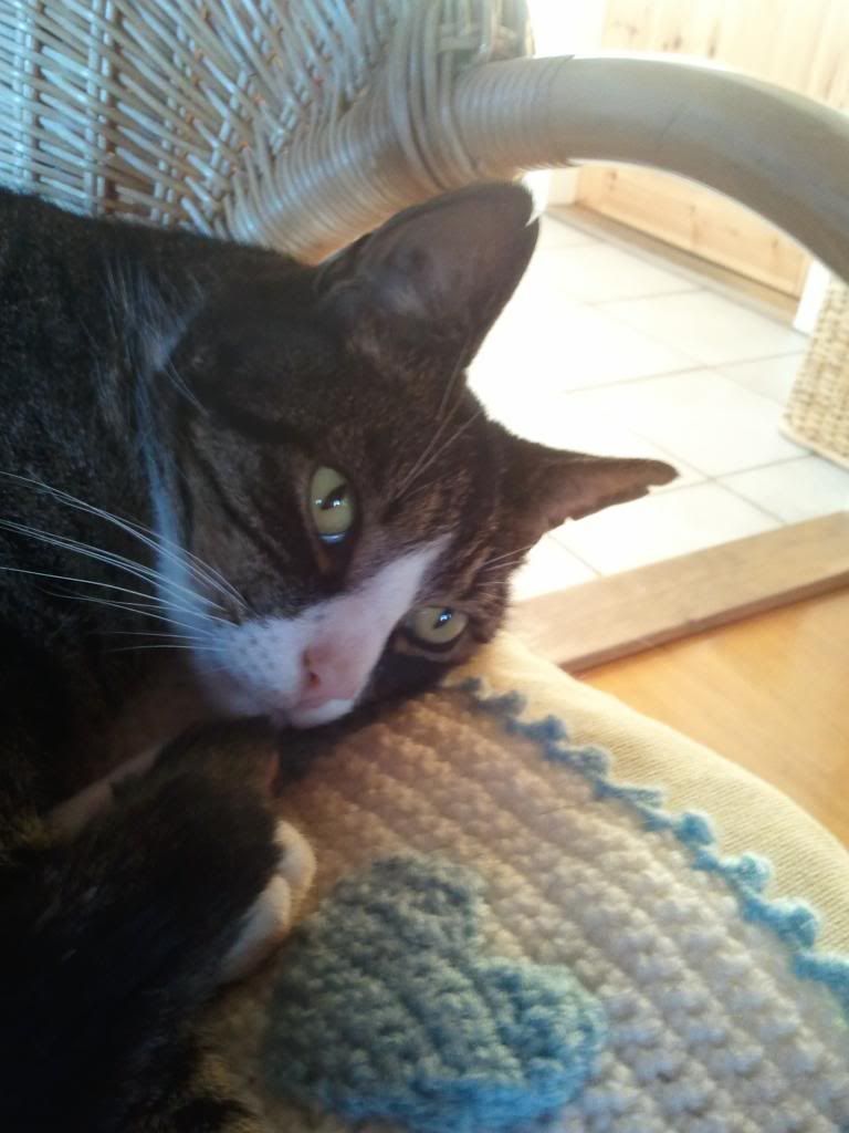 2012-11-18152545.jpg