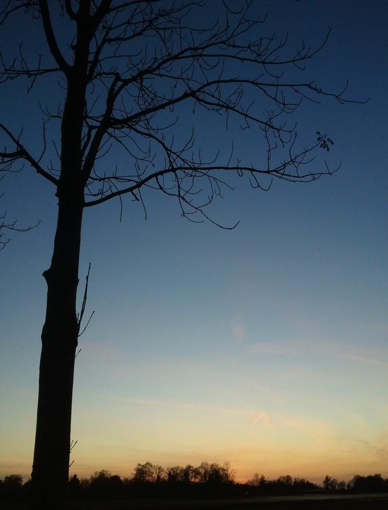 2012-11-18165143.jpg