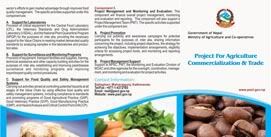 PACT Brochure PACT Brochure