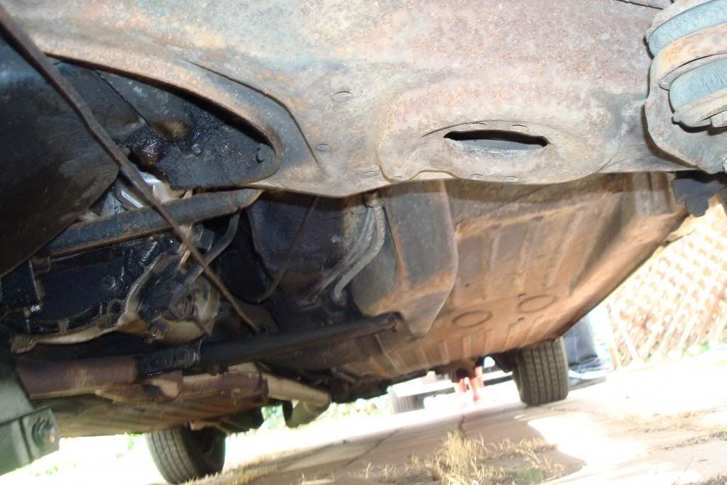  photo mbz220yellow3.jpg