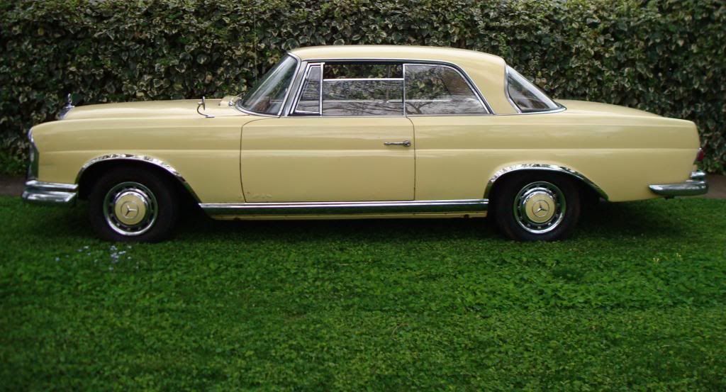  photo mbz220yellow6.jpg