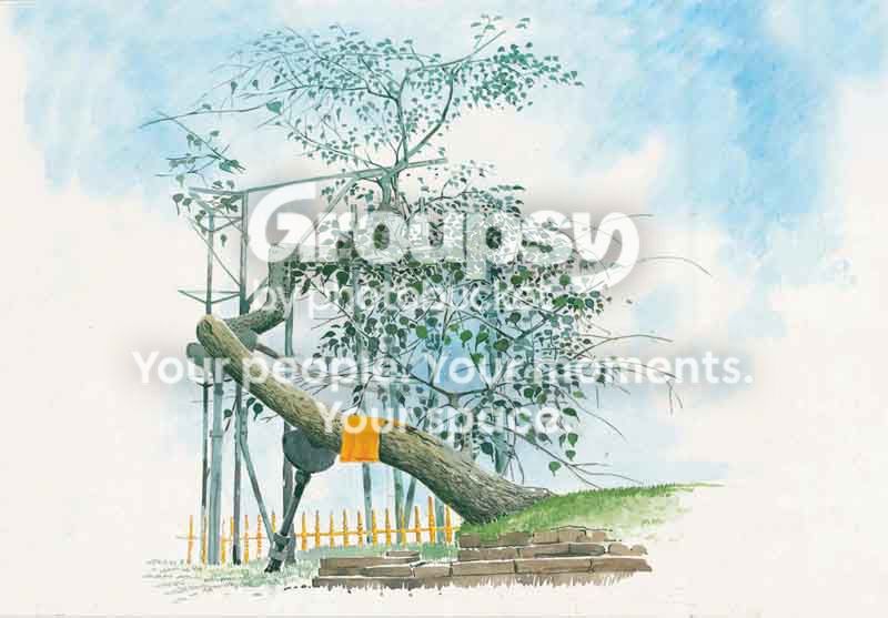 maduraonline-09.jpg