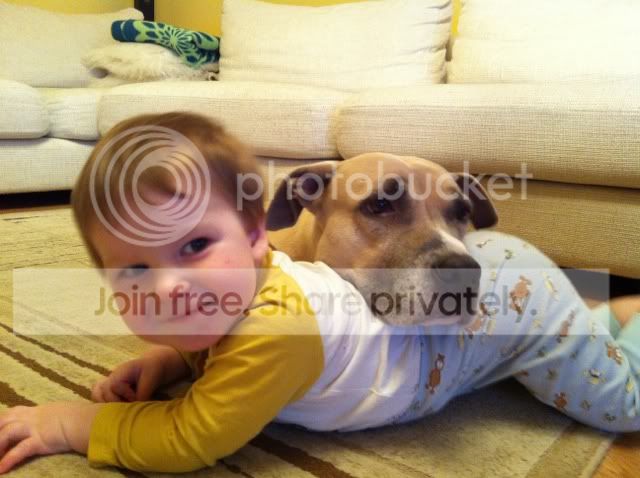Photobucket Pictures, Images and Photos